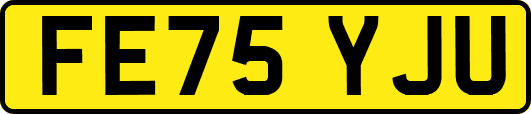 FE75YJU