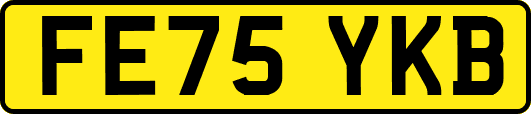 FE75YKB