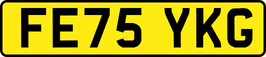 FE75YKG