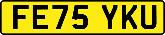 FE75YKU