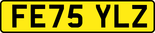FE75YLZ