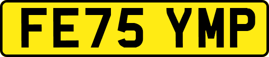 FE75YMP