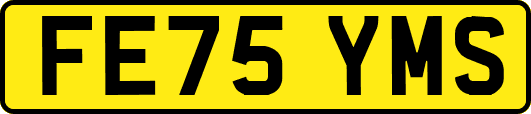 FE75YMS