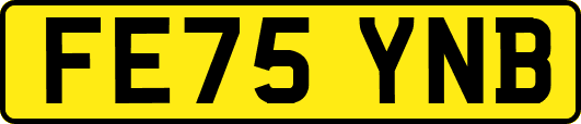 FE75YNB