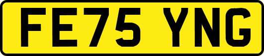 FE75YNG