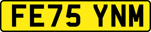 FE75YNM