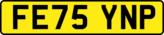 FE75YNP