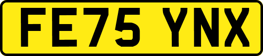 FE75YNX