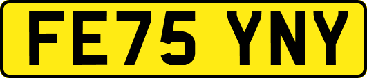FE75YNY