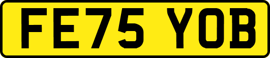FE75YOB