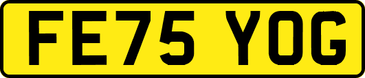 FE75YOG