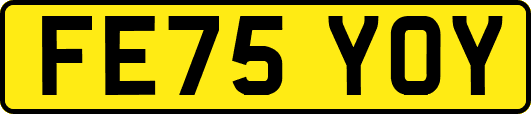 FE75YOY