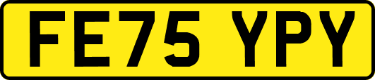 FE75YPY