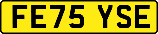 FE75YSE