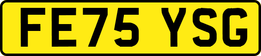 FE75YSG