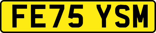 FE75YSM