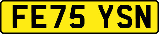 FE75YSN