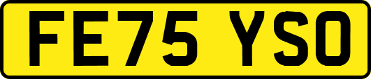 FE75YSO