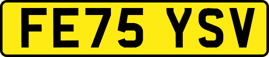 FE75YSV