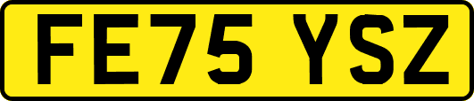 FE75YSZ