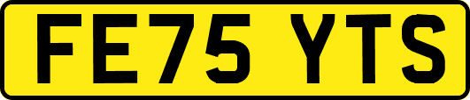 FE75YTS