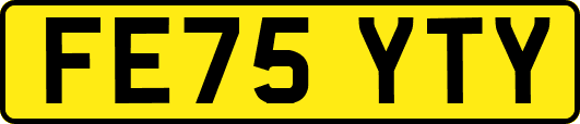 FE75YTY
