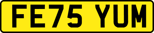 FE75YUM