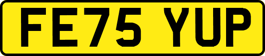 FE75YUP