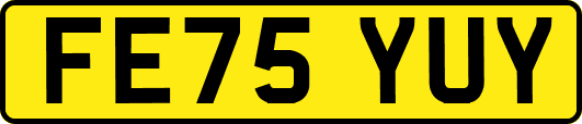 FE75YUY