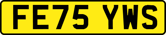 FE75YWS