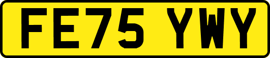 FE75YWY