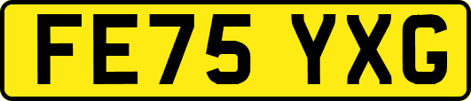 FE75YXG