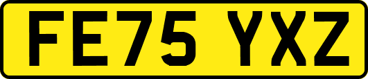FE75YXZ