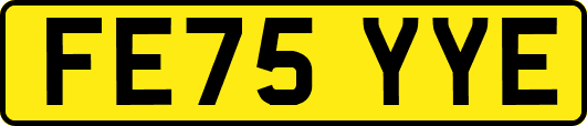 FE75YYE