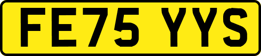 FE75YYS