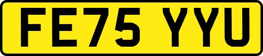 FE75YYU