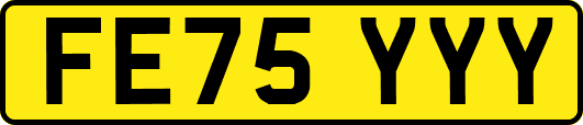 FE75YYY