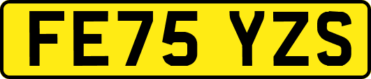 FE75YZS