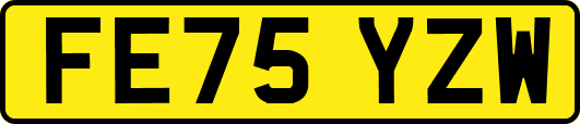 FE75YZW