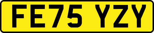 FE75YZY