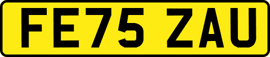 FE75ZAU