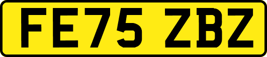 FE75ZBZ