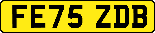 FE75ZDB