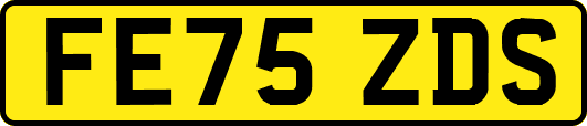 FE75ZDS