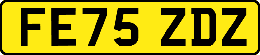 FE75ZDZ