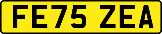 FE75ZEA