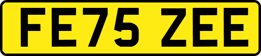 FE75ZEE