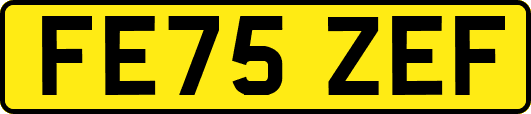 FE75ZEF