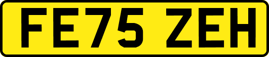 FE75ZEH