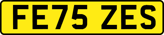 FE75ZES